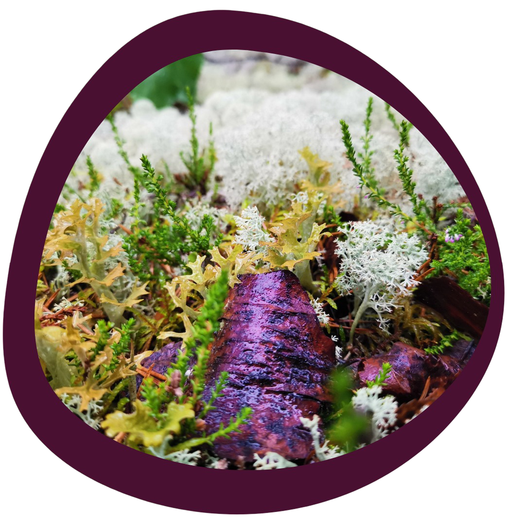 Daniela Barchan Mossa med ram